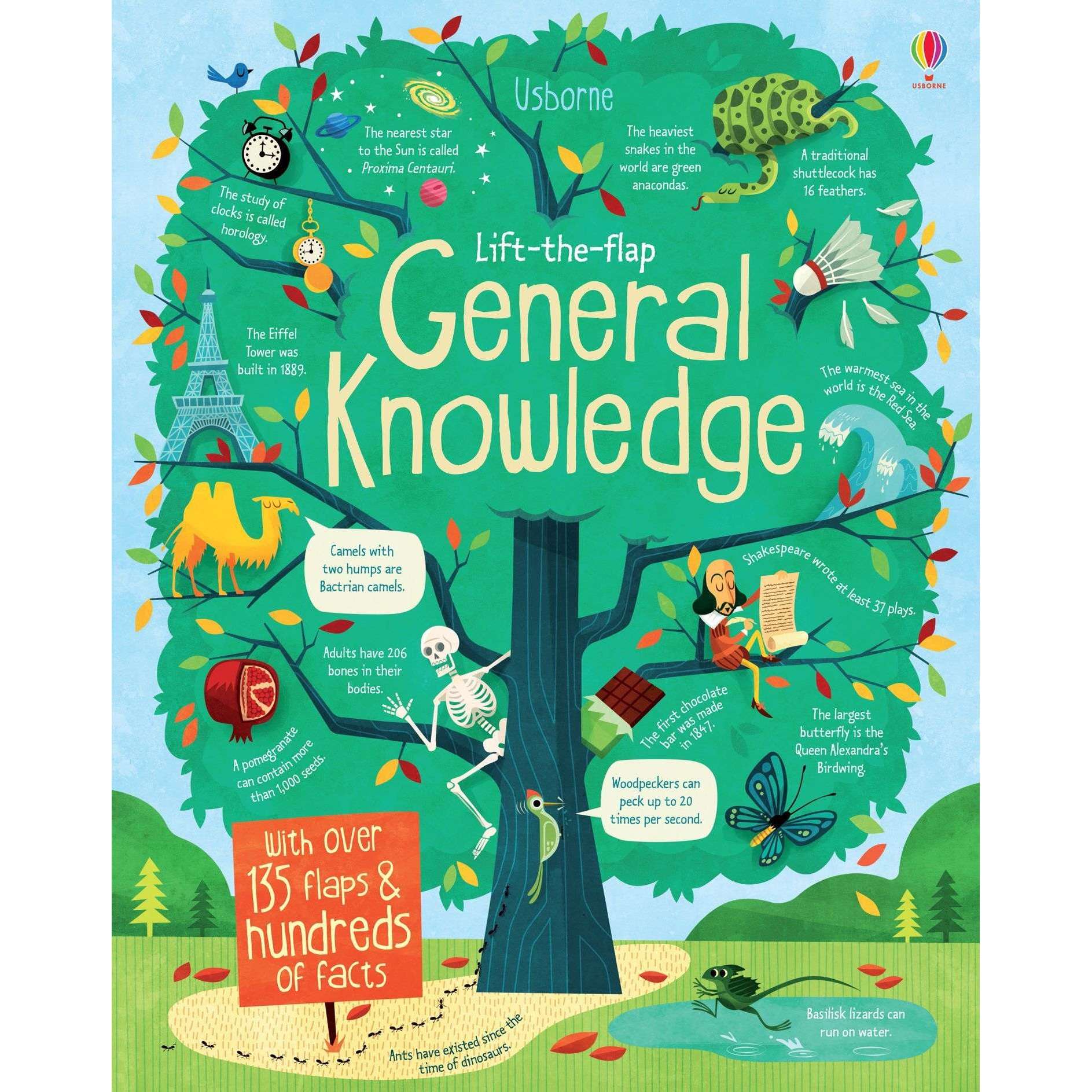 Lift the Flap General Knowledge Book By Alex Frith James Maclaine ...