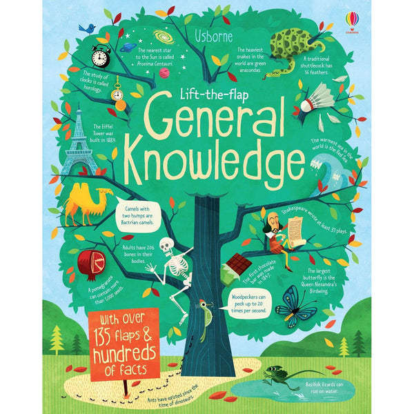 Lift the Flap General Knowledge Book By Alex Frith James Maclaine