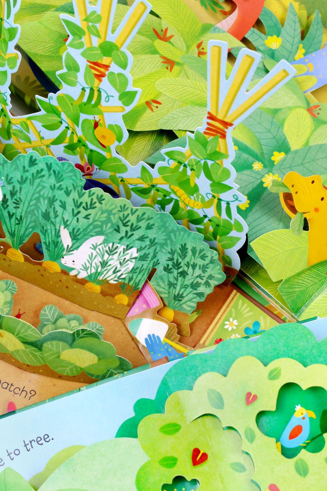 Usborne Pop Up 3 Books Set Collection by Fiona Watts, Jungle