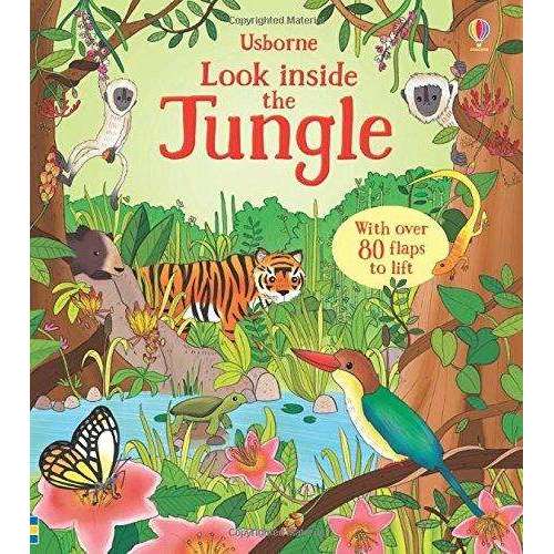 Usborne Look Inside Our World 6 Board Books Collection Set | Educational & Interactive Children's Books | Nature, Oceans, Jungle, Space & Discovery