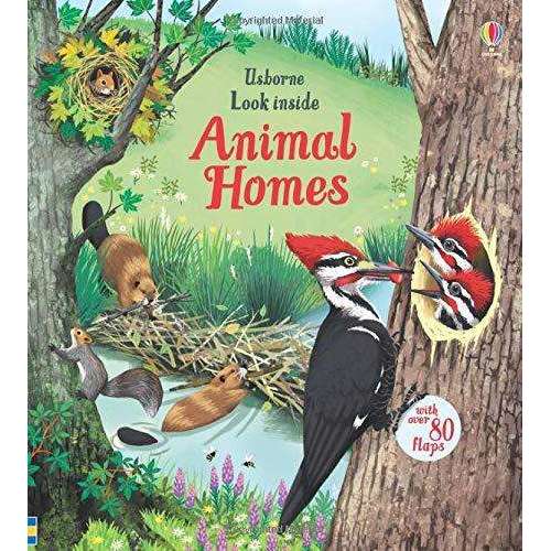 Usborne Look Inside Our World 6 Book Set for Kids 5+ – Lowplex Books
