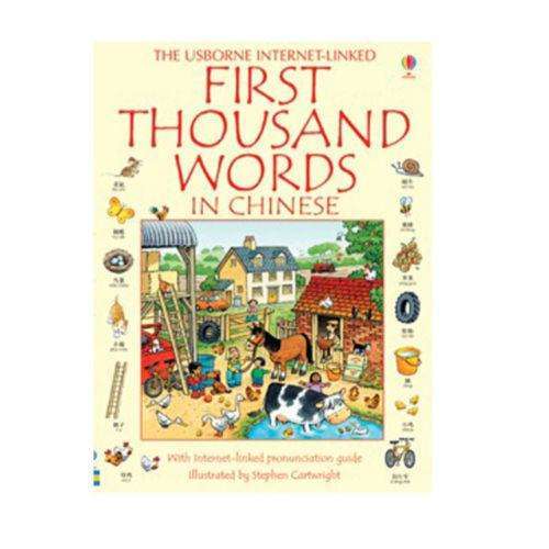 Usborne My First Thousand Words in Chinese Book